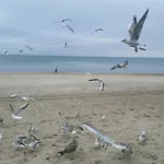 Diva 2-pokojowy Prywatny Z Aneksem Kuchennym * Kolberg