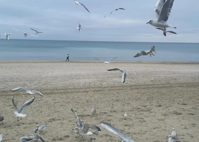 Diva 2-pokojowy Prywatny * コウォブジェク